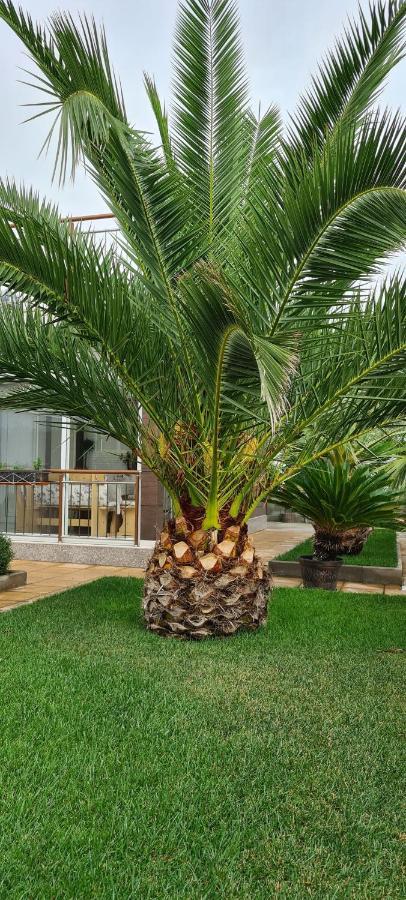 Villa Avdira Paralia Avdhiron Dış mekan fotoğraf