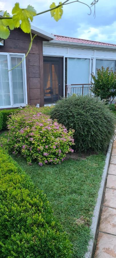 Villa Avdira Paralia Avdhiron Dış mekan fotoğraf